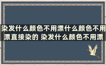 染发什么颜色不用漂什么颜色不用漂直接染的 染发什么颜色不用漂什么颜色不用漂直接染的好看